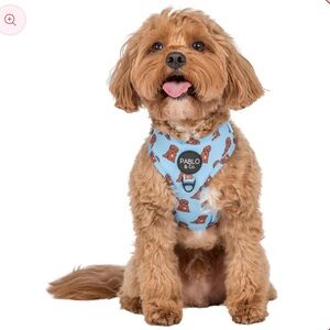 NWT Pablo & Co Cavoodle Adjustable Harness
